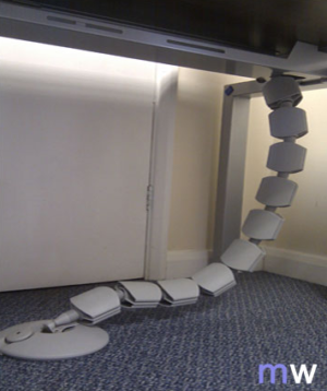 Cable Spine